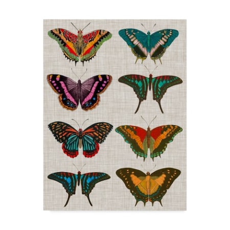 Vision Studio 'Polychrome Butterflies Ii' Canvas Art,18x24